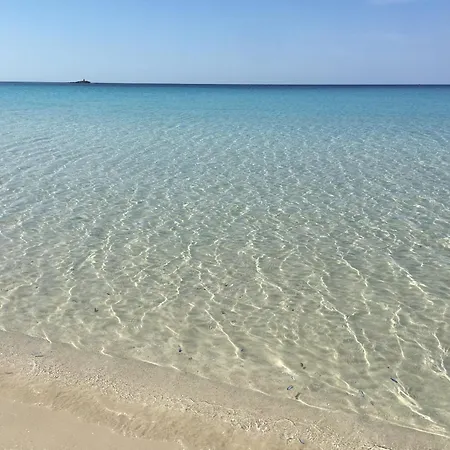Algherive