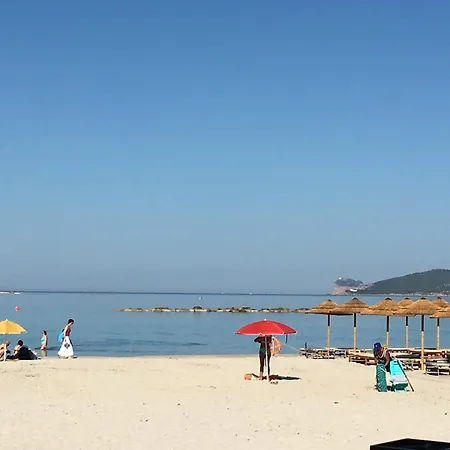 Algherive